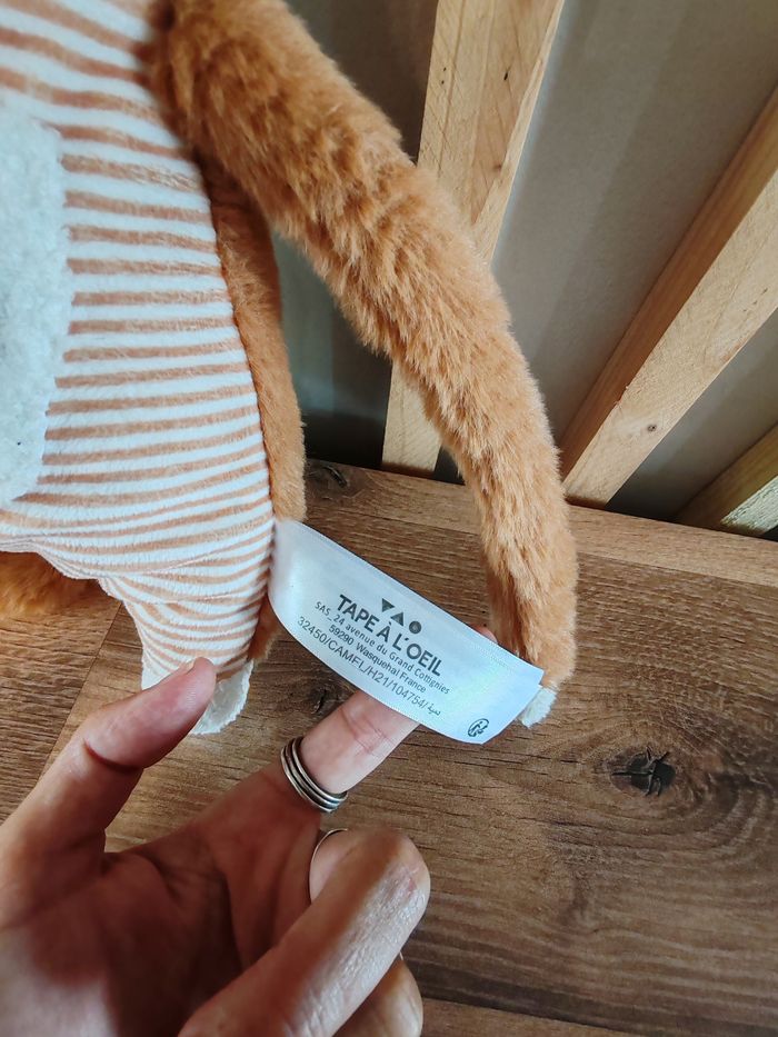 Chat tao avec sa poche et son bébé - photo numéro 3