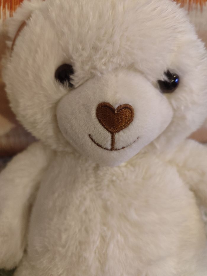 Doudou ours princesse tom et Zoé - photo numéro 3