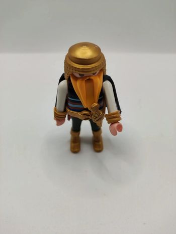 Chevalier nain playmobil