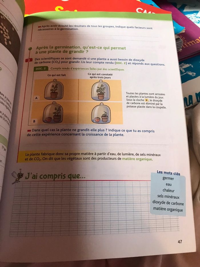 Les cahiers de la luciole CM1 Hatier - photo numéro 2