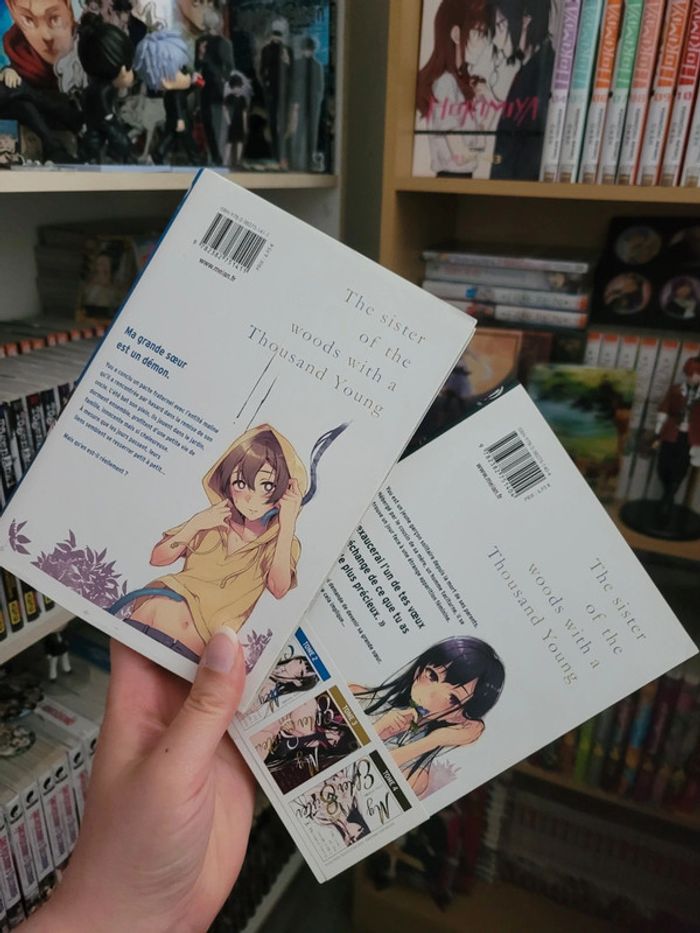 Manga my elder sister tomes 1 et 2 - photo numéro 2