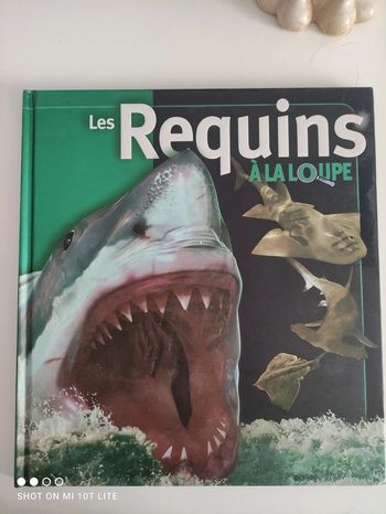 Les requins à la loupe