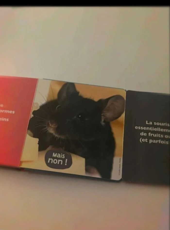 Livre les  animaux  de  compagnie - photo numéro 3
