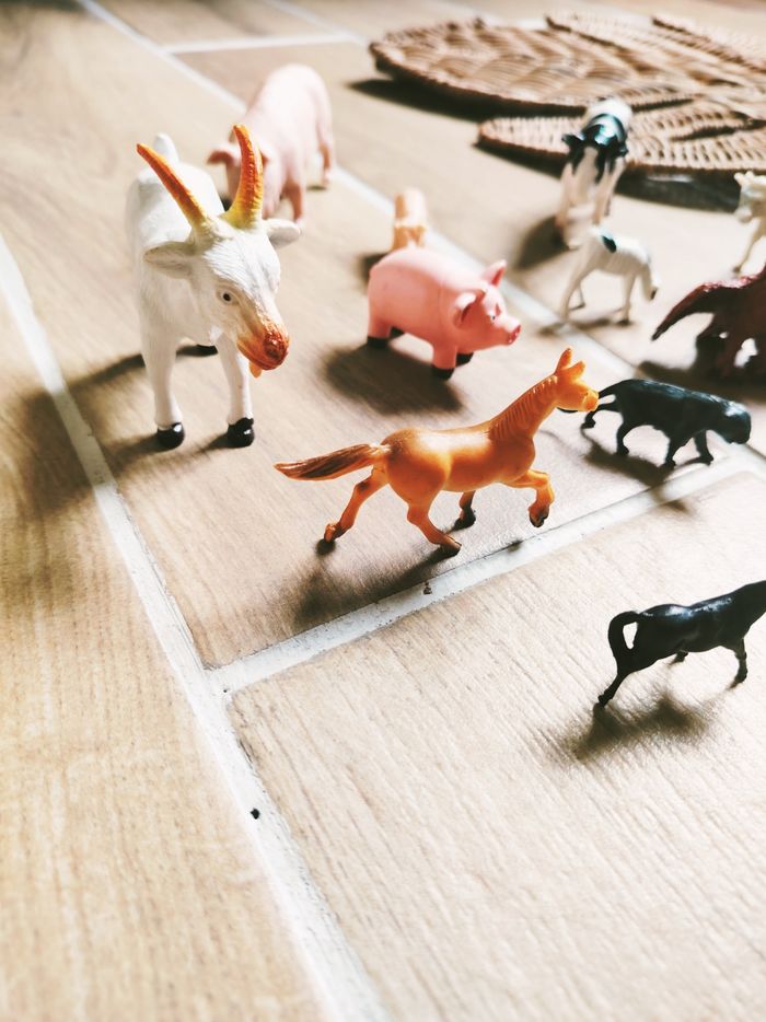 🐷Lot divers animaux de la ferme Montessori en plastique - photo numéro 2