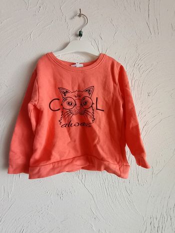 Sweat tigre orange