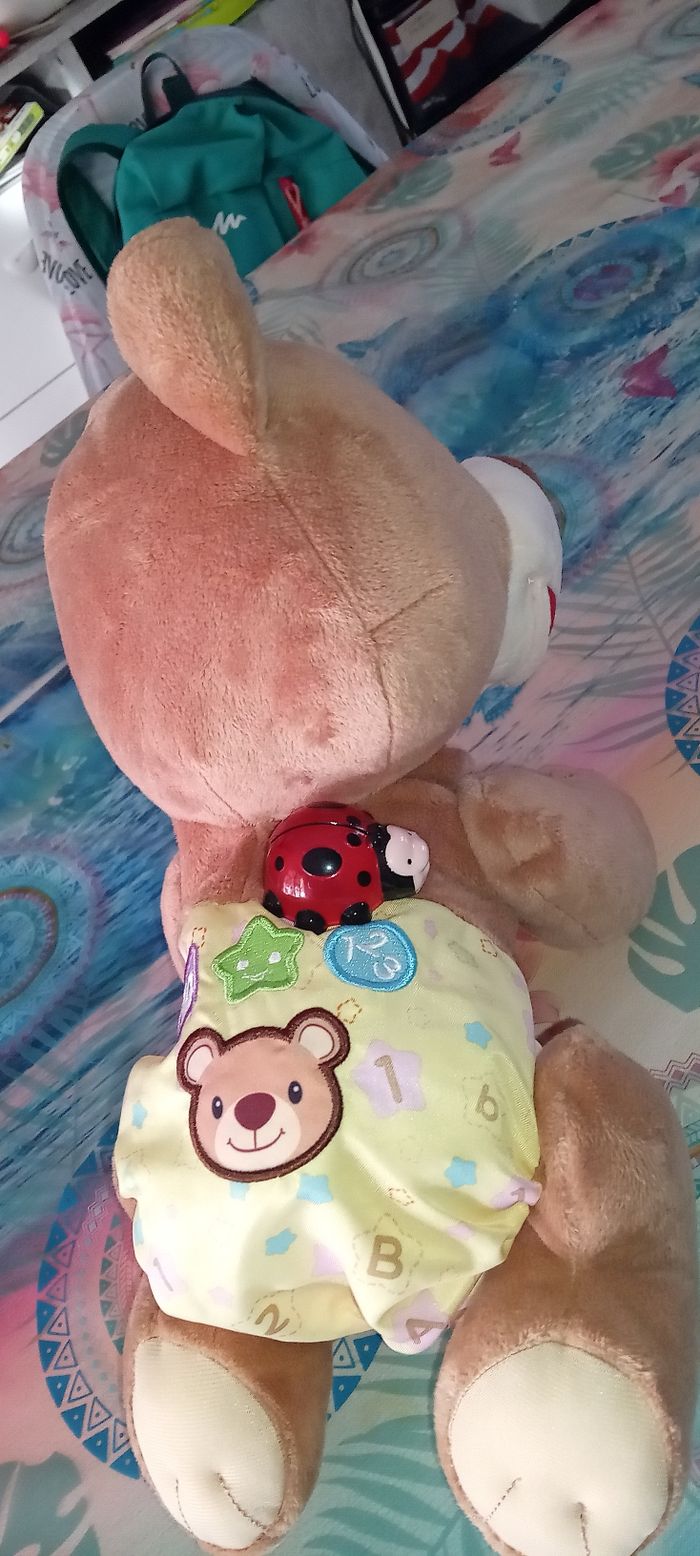 Ours vteck - photo numéro 3