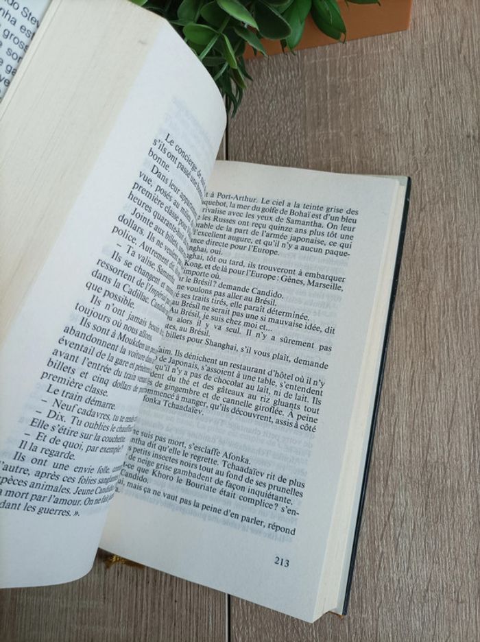 Livre Le Jaguar Loup Durand - photo numéro 2