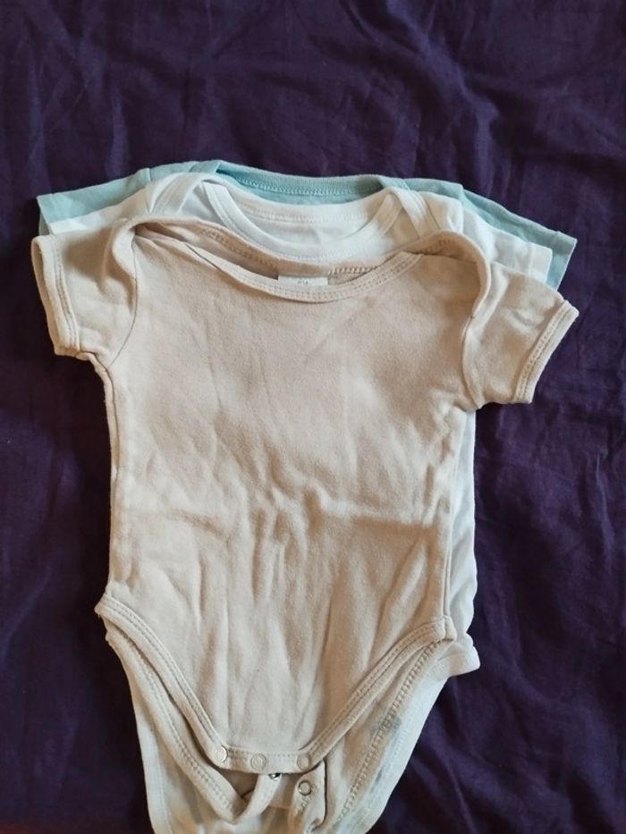 Lot de 3 bodies mc 6 mois