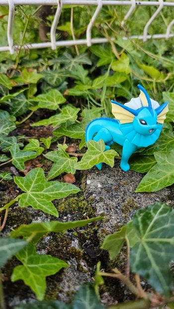 Super figurine Pokemon Aquali