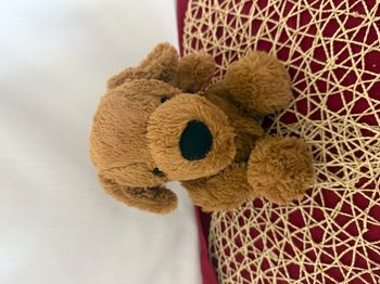 Peluche chien marron souple  soho boutique