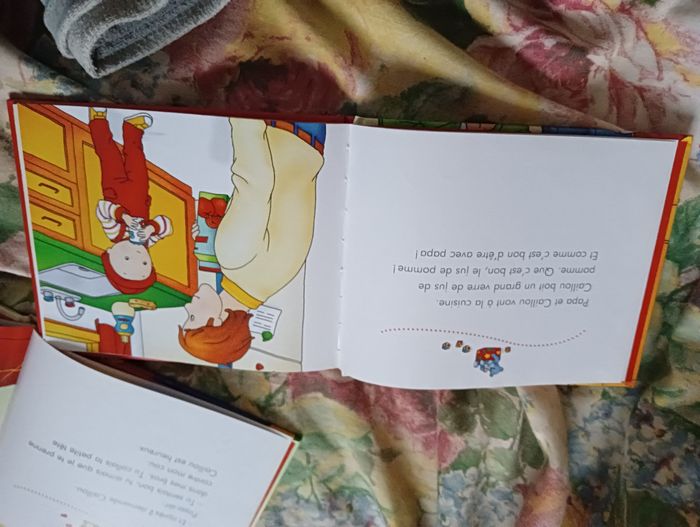 2 livres Caillou - photo numéro 4