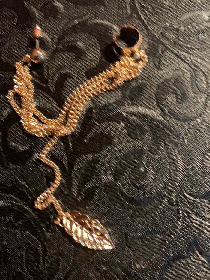 Un bijou d’oreilles - photo numéro 2