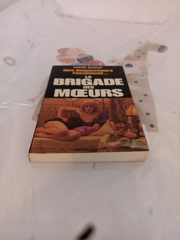 Des inspecteurs racontent la brigade des moeurs