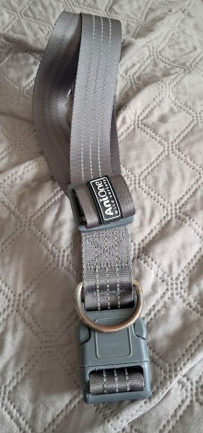 COLLIER CHIEN - photo numéro 1
