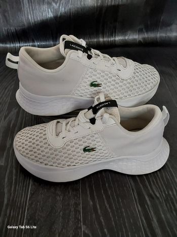 Basket Lacoste garçon pointure 33