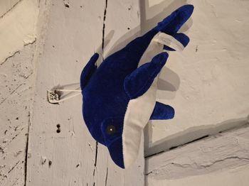 Peluche Dauphin