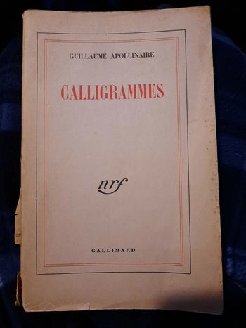 Guillaume Apollinaire, Calligrammes