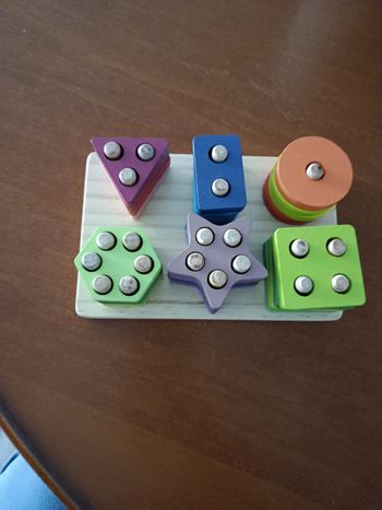 Jeu en bois de motricite