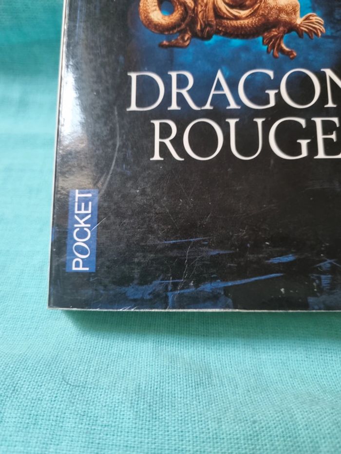 Dragon rouge - photo numéro 5