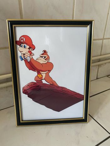 Cadre Mario