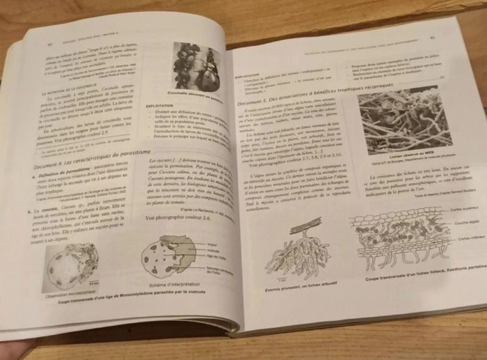 Manuel STAV - photo numéro 5