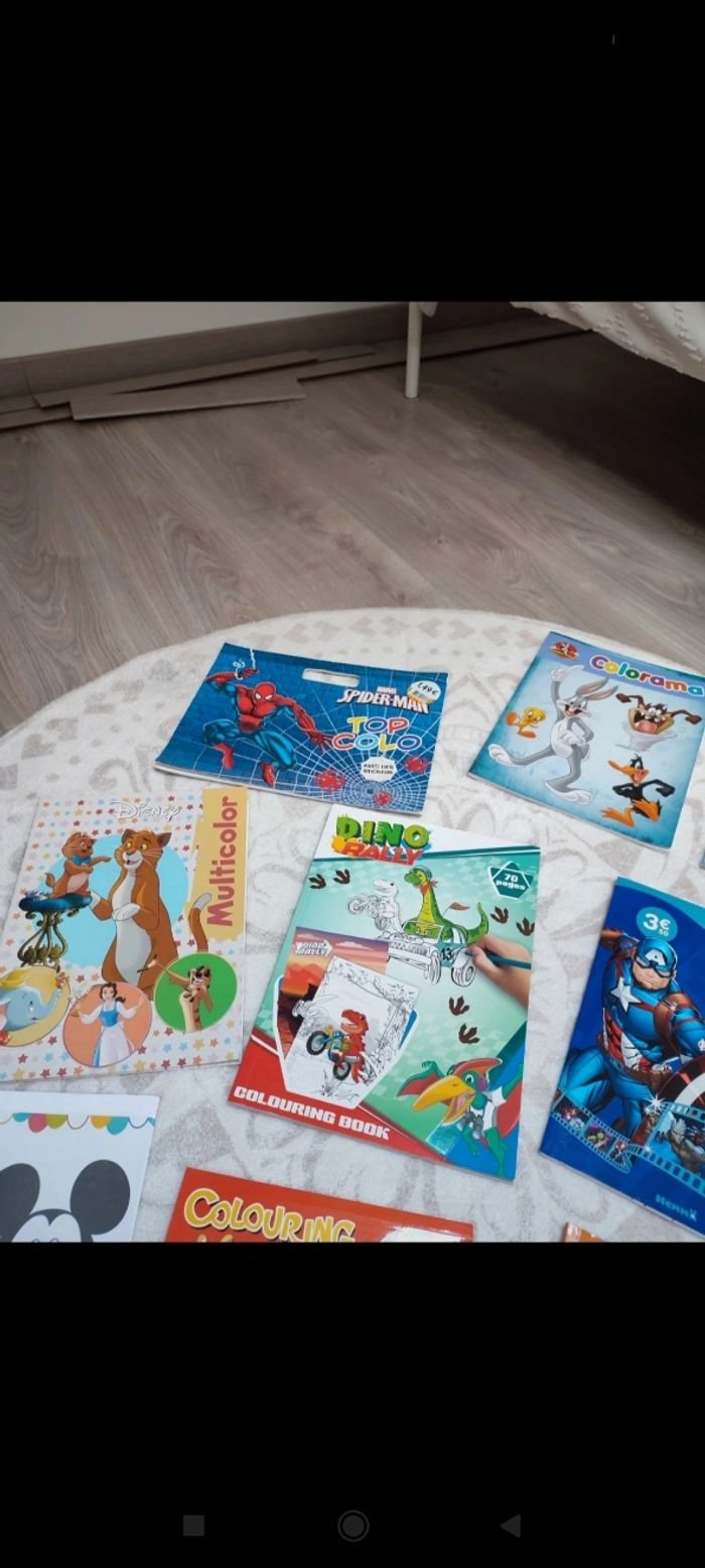 Lot de livres de coloriage - photo numéro 4