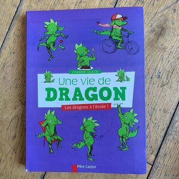 Livre une vie de dragon  Les dragons à l’école