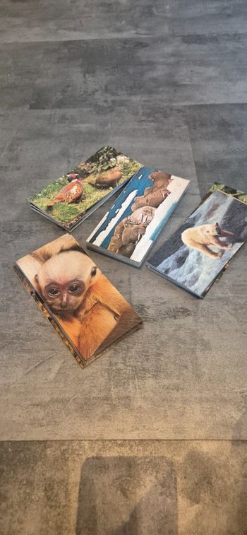 Lot de cartes Merveilles du Monde