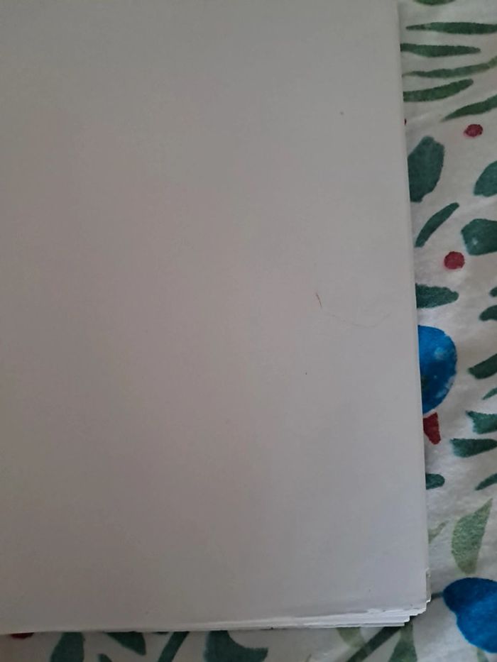 Cahier - photo numéro 4
