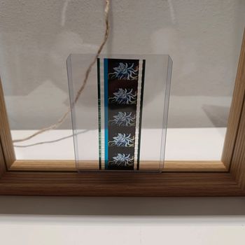 Pellicule démon slayer Daki