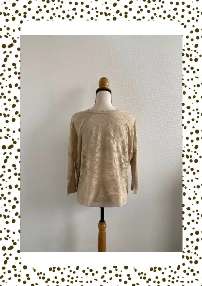 Pull dos en dentelle - photo numéro 2