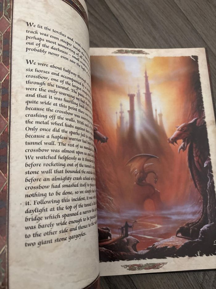 Introuvable sur Vinted ! veritable pépite en anglais. The dragon Chronicles - photo numéro 7