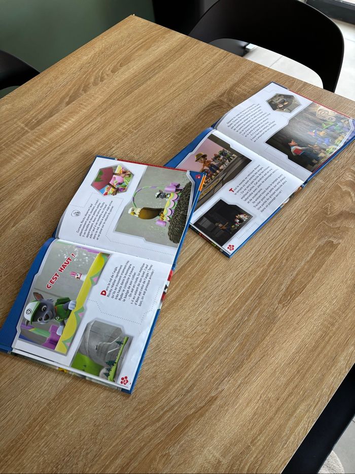 Lot de livre pat’patrouille - photo numéro 4