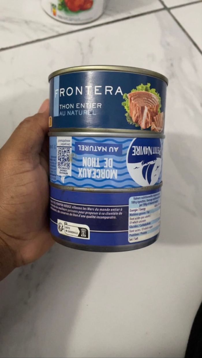 Thon - photo numéro 3