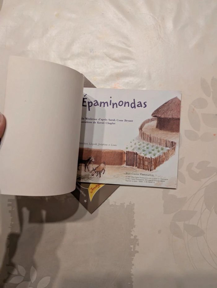 Lot les mini Castor - photo numéro 6