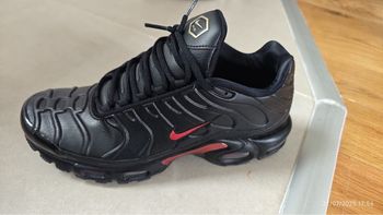 Nike Air Max Plus " Leather Bred"