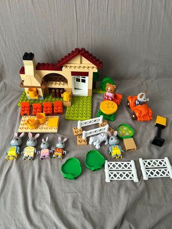 Lot maximilian families unico plus