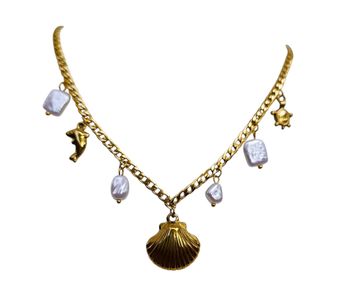 Collier coquillage ✅