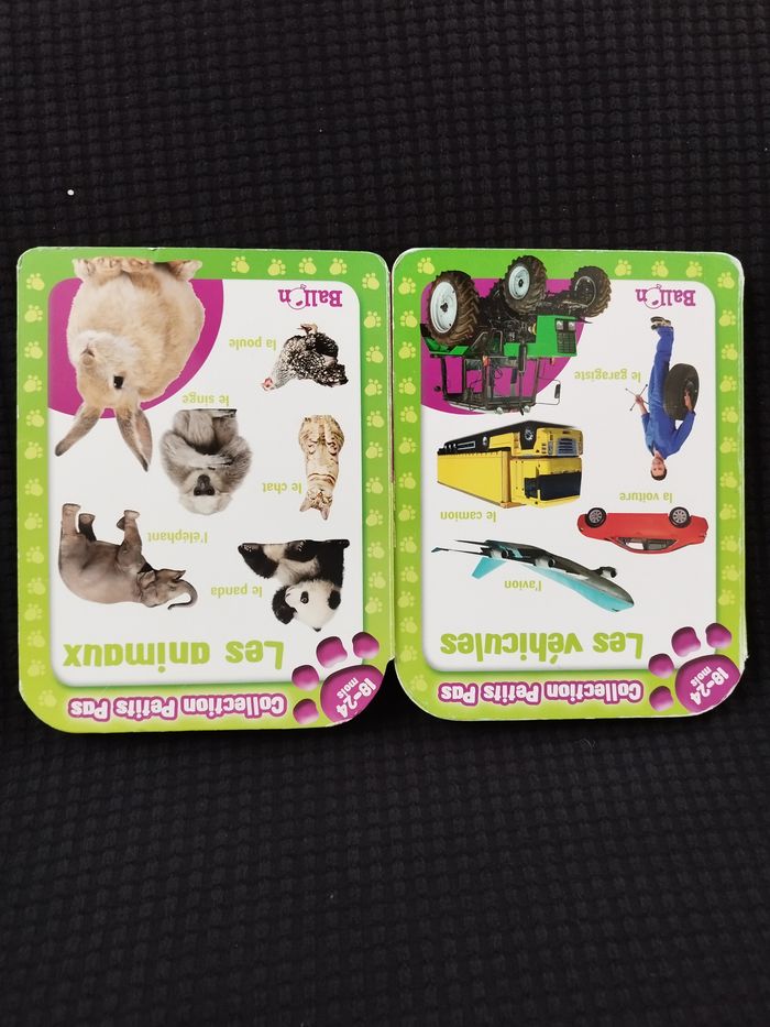 Livres cartonnés Les animaux et les véhicules Collection Petits Pas