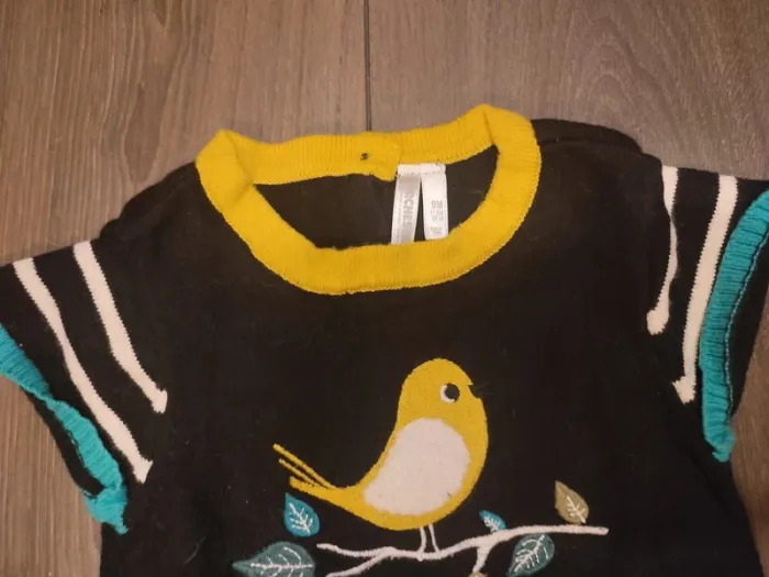 Lot 2 robes chaudes orchestra 9 mois très bon état - photo numéro 4