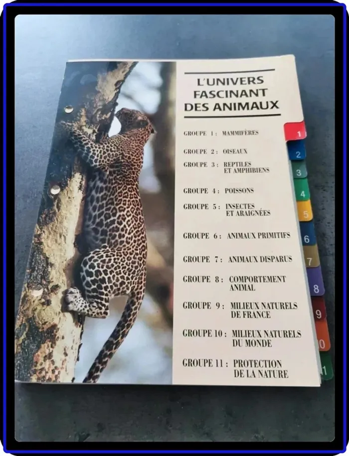 Fiches animaux
