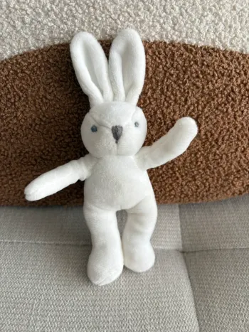 Lapin jacadi