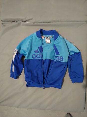Gilzt adidas
