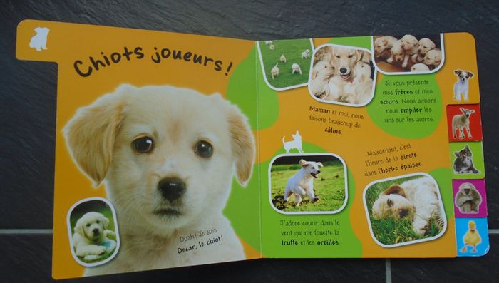 Joli livre "les bébés animaux" - photo numéro 2
