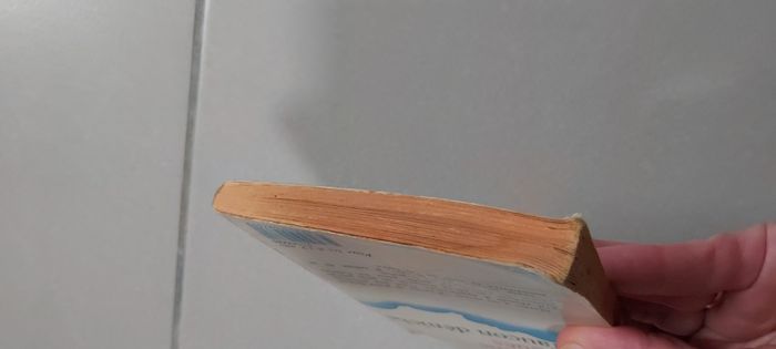 Le faucon déniché - photo numéro 6