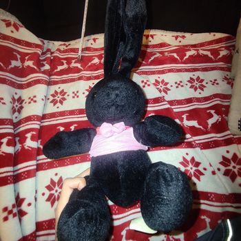 Peluche lapin