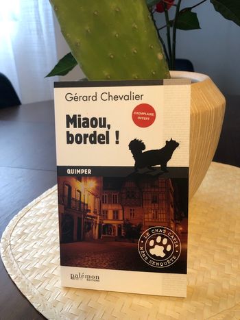 Miaou, bordel ! Quimper - Gérard Chevalier 