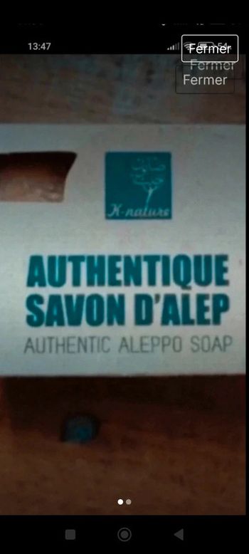 Savon dalep