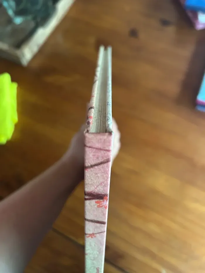 Lot de livres princesses - photo numéro 3