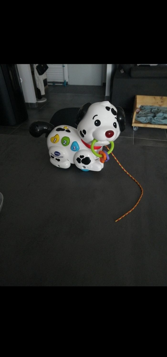 1,2,3 petit dalmatien vetch